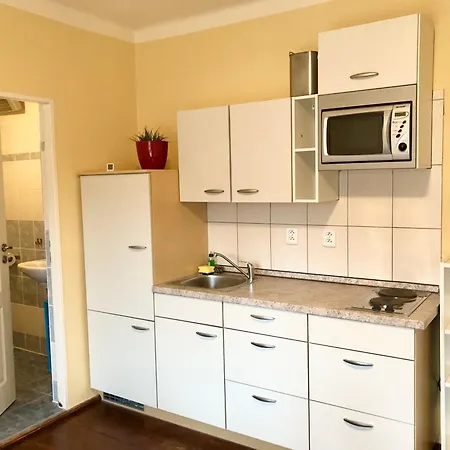 Kosov 11 -room 3 Apartment Bor